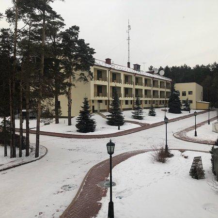 Новгородская хвойная санаторий